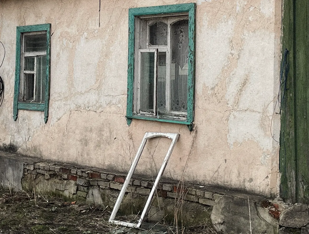 «Мы как колорадский жук — везде выживаем»